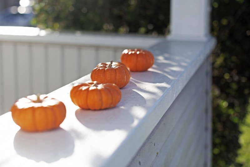 The Dairy Barn Arts Center will host its annual Pumpkin Fest for families on Saturday.